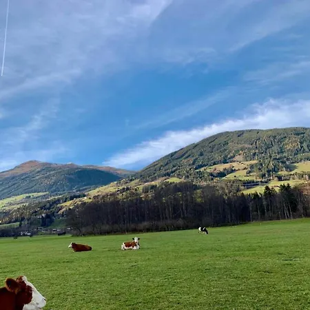 In Sulzau Near Wildkogel Arena, Cleaning Included * Neukirchen am Großvenediger
